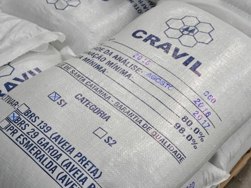 Cravil inicia produção de semente de aveia-4.jpg