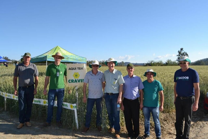 Cravil realiza Dia de Campo de Triticale-7.jpg