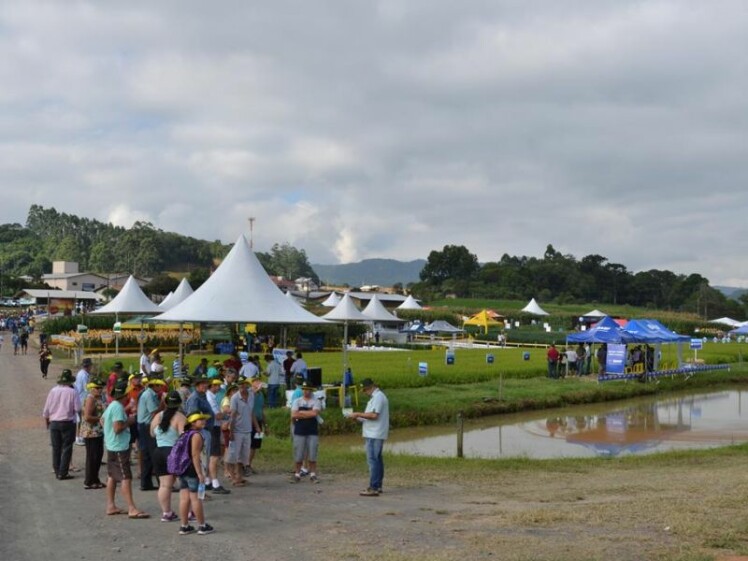 Dia de Campo Cravil reúne mais de 3 mil pessoas