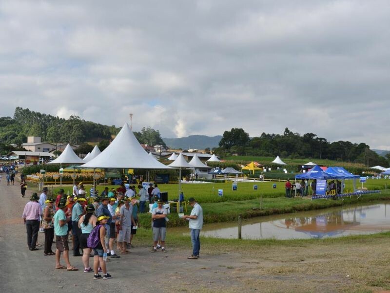 Dia de Campo Cravil reúne mais de 3 mil pessoas-9.jpg