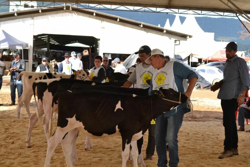 21ª Expofeira Estadual do Leite-73.jpg