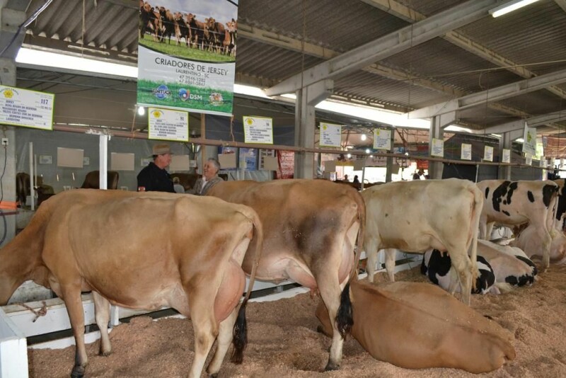 21ª Expofeira Estadual do Leite-65.jpg