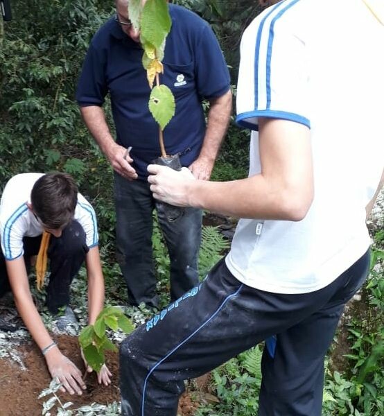 Escolas do Cooperjovem fazem plantio de árvores nativas-2.jpeg