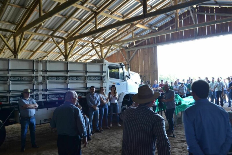 Cravil realiza Dia de Campo de Triticale-28.jpg