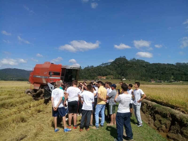 Alunos acompanham colheita de arroz-1.jpeg