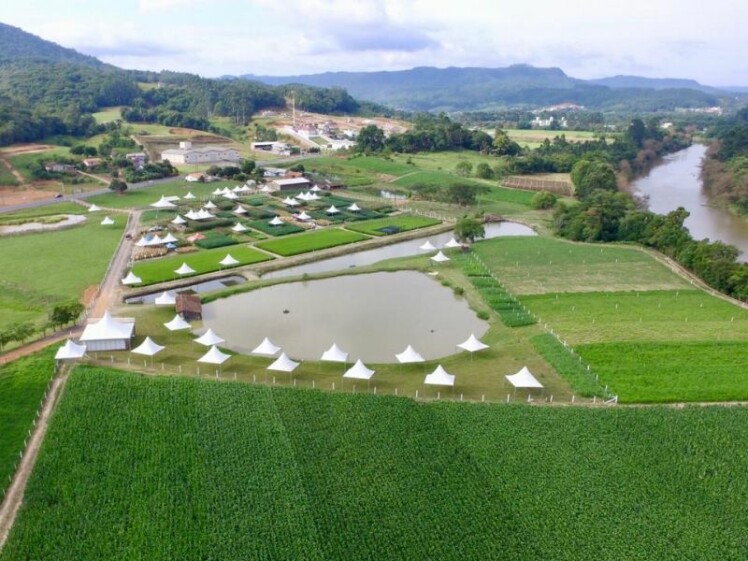 Dia de Campo Cravil inicia na quarta-feira