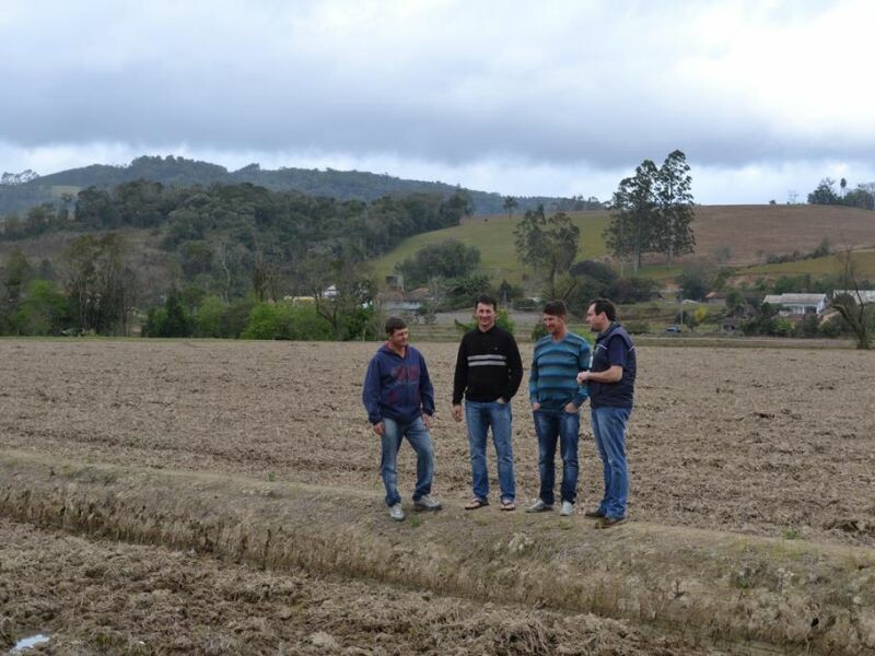 As maiores produtividades de arroz estão no Alto Vale-2.jpg