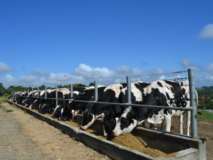 Balcão de Negócios deve movimentar Dia de Campo Cravil