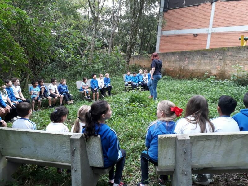 Escolas do Cooperjovem fazem plantio de árvores nativas-3.jpeg