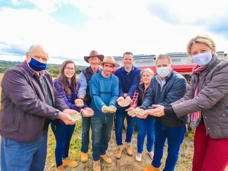 Cultivo de cereais de inverno cresce na região.jpeg