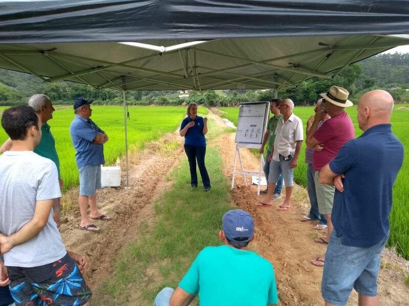 Produtores de arroz participam de capacitação-2.jpeg