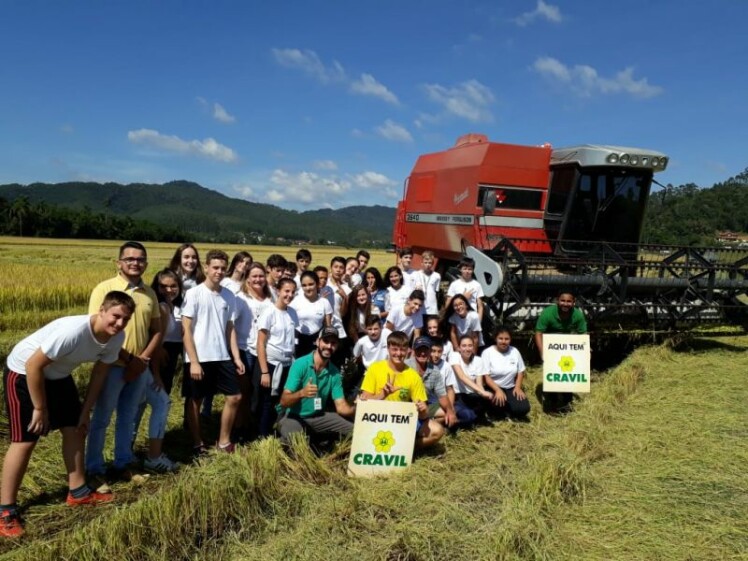 Alunos acompanham colheita de arroz