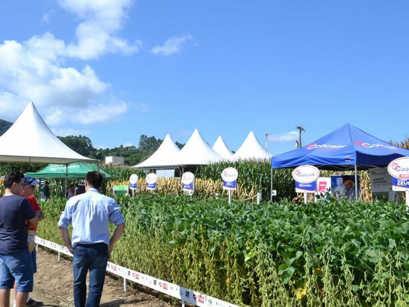 Dia de Campo Cravil reúne mais de 3 mil pessoas-10.jpg