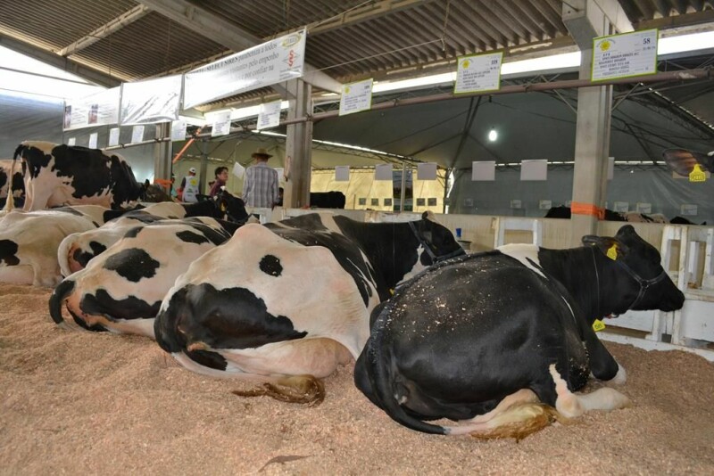 21ª Expofeira Estadual do Leite-62.jpg