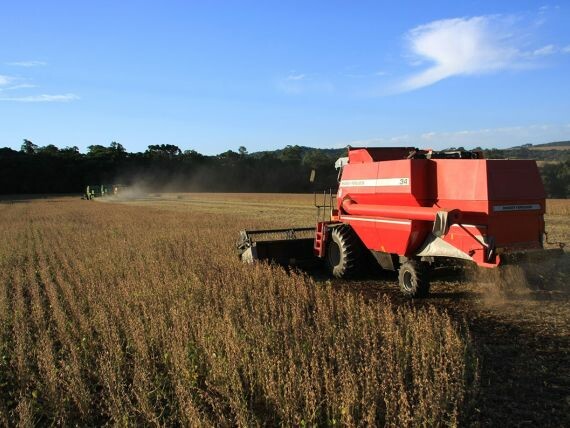 Soja deve tirar área de milho em Santa Catarina na safra 2017/2018