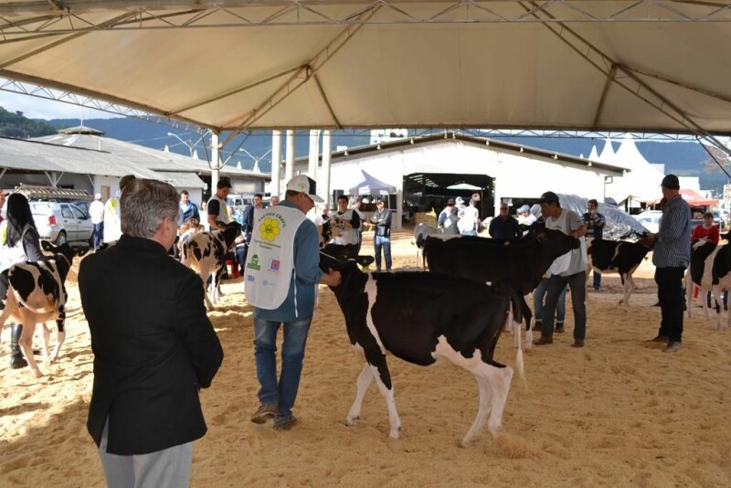 21ª Expofeira Estadual do Leite-71.jpg
