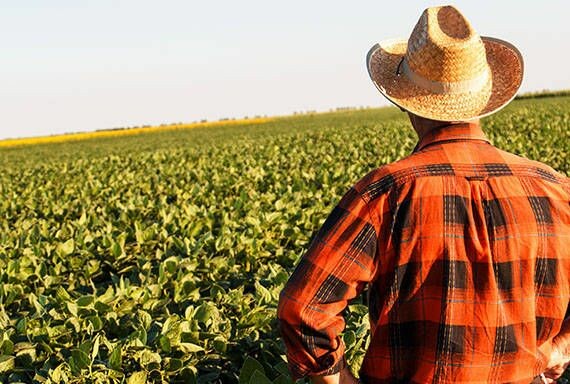 Cravil apoia movimento contra tributação dos insumos agrícolas