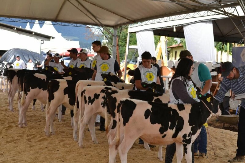 21ª Expofeira Estadual do Leite-75.jpg