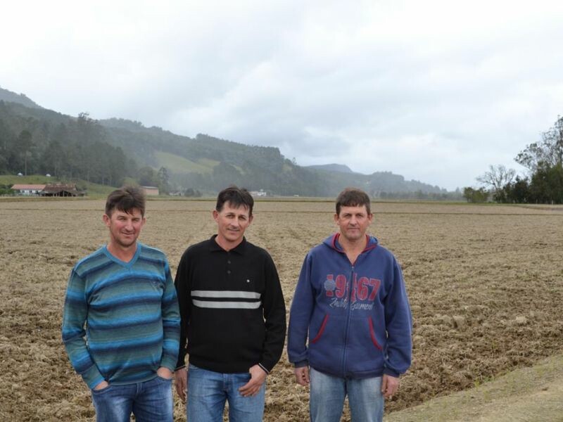 As maiores produtividades de arroz estão no Alto Vale-1.jpg