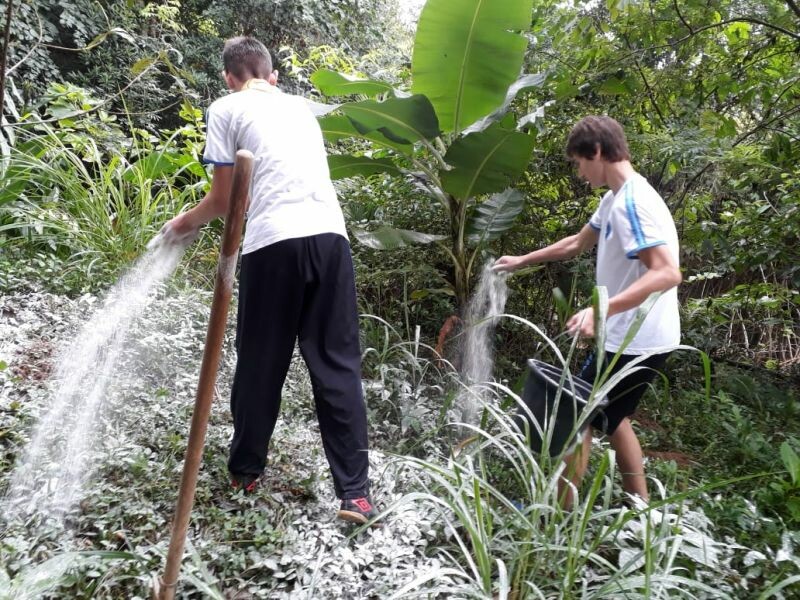 Escolas do Cooperjovem fazem plantio de árvores nativas-1.jpeg