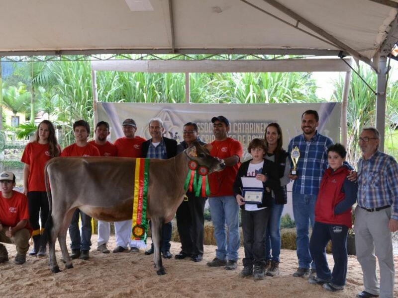 Festa do Leite tem recorde de expositores e animais de alta qualidade-3.jpg