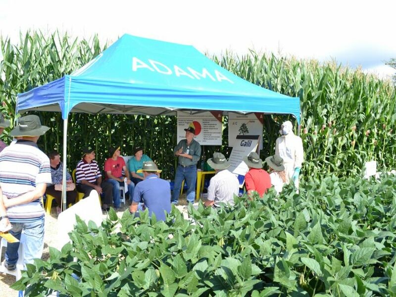 Dia de Campo Cravil reúne mais de 3 mil pessoas-8.jpg