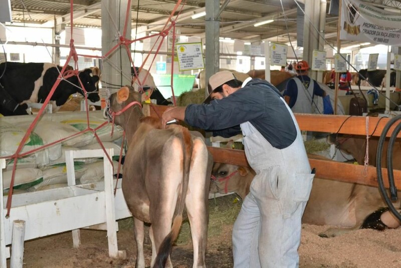 21ª Expofeira Estadual do Leite-63.jpg