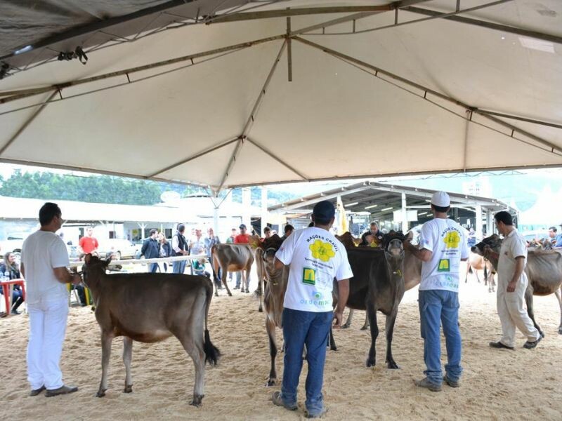 Cravil estará presente na Festa do Leite em Presidente Getúlio-2.jpg