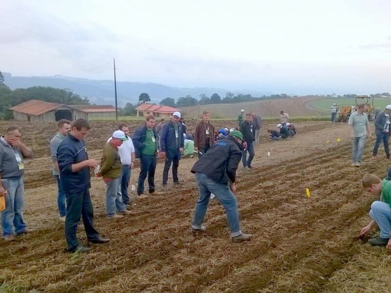 De olho no plantio da nova safra-5.jpeg