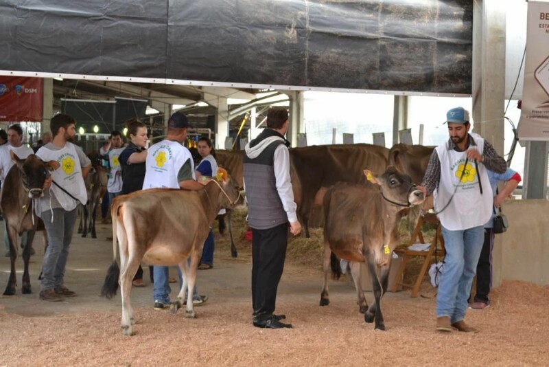 22ª Expofeira Estadual do Leite-85.jpg