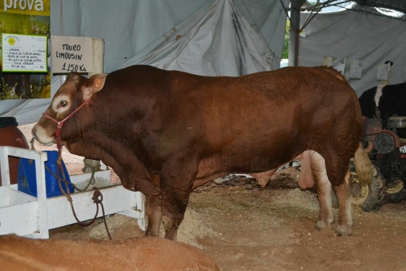 Cravil participa da 23ª Expofeira Estadual do Leite-6.jpg