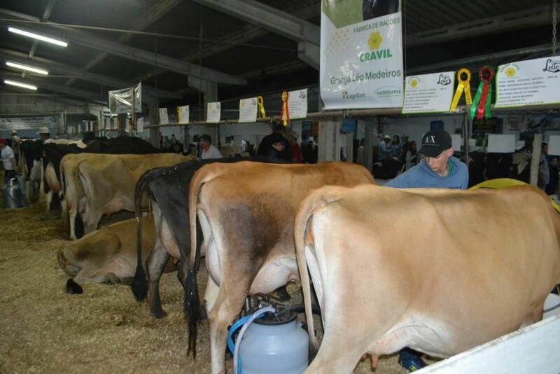 Cravil participa da 23ª Expofeira Estadual do Leite-34.jpg