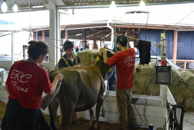 Cravil é parceira da 20ª Expofeira Estadual do Leite-75.jpg