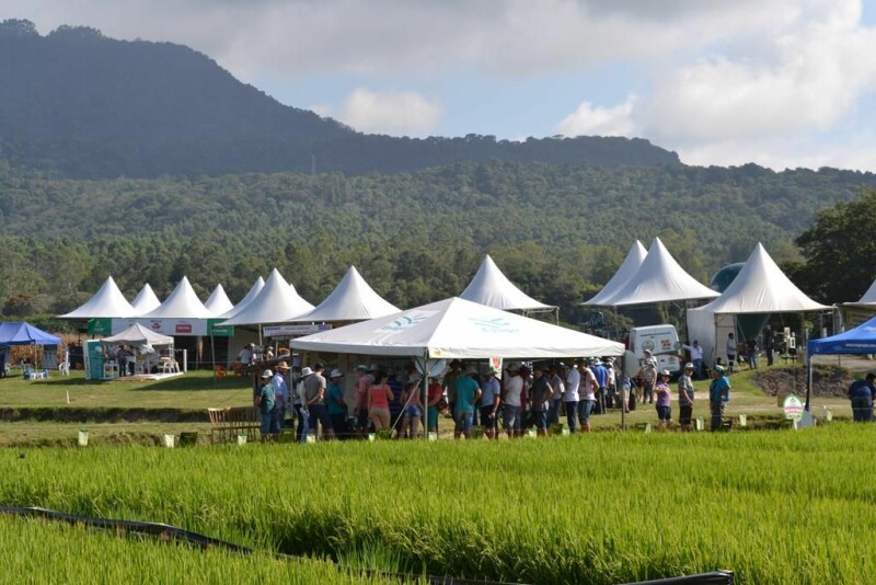 Dia de Campo Cravil reúne cerca de 2.500 pessoas-53.jpg