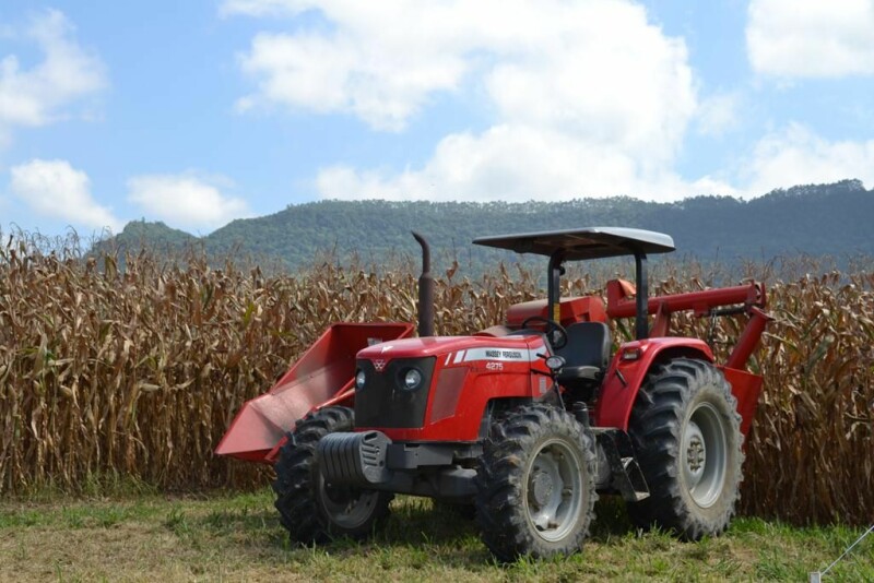 Dia de Campo Cravil reúne cerca de 2.500 pessoas-39.jpg