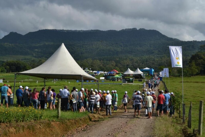 Dia de Campo Cravil-12.jpg