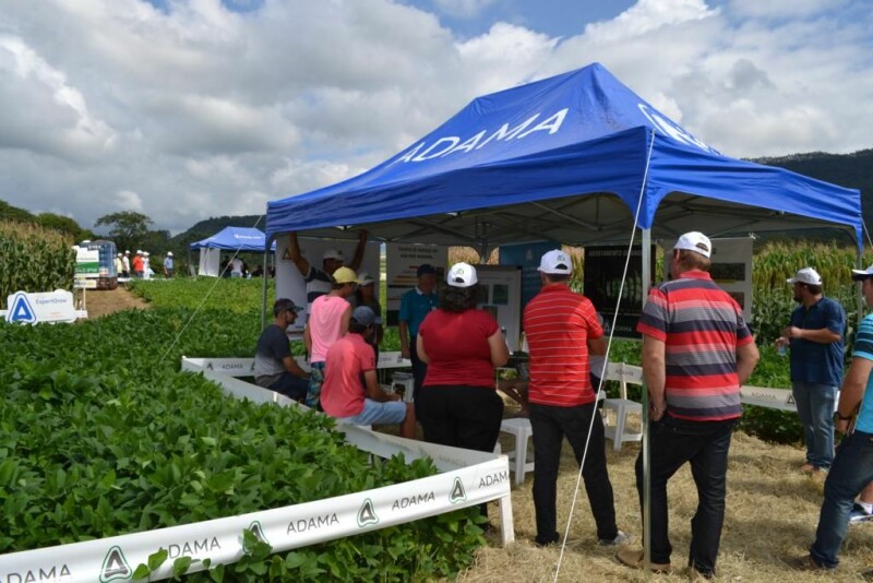 Dia de Campo Cravil-71.jpg