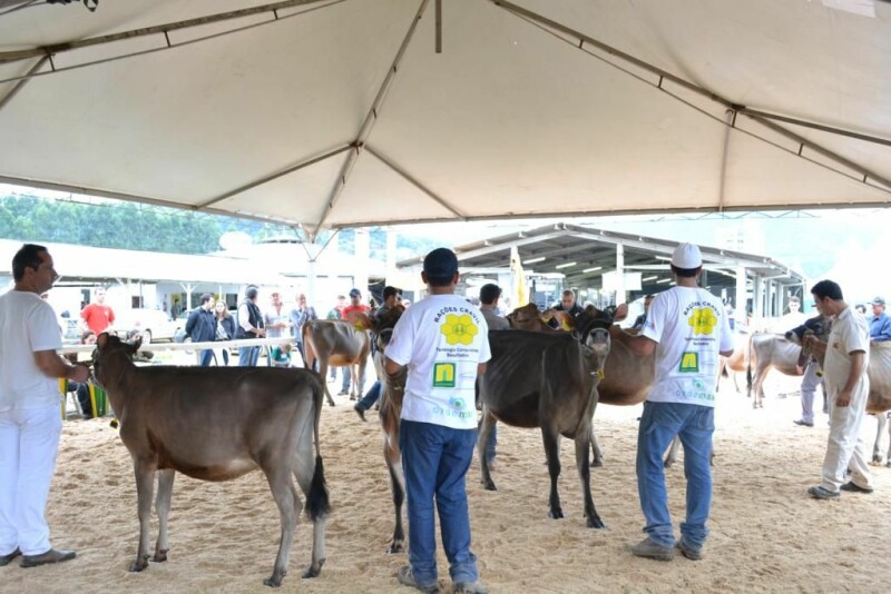 Cravil é parceira da 20ª Expofeira Estadual do Leite-70.jpg