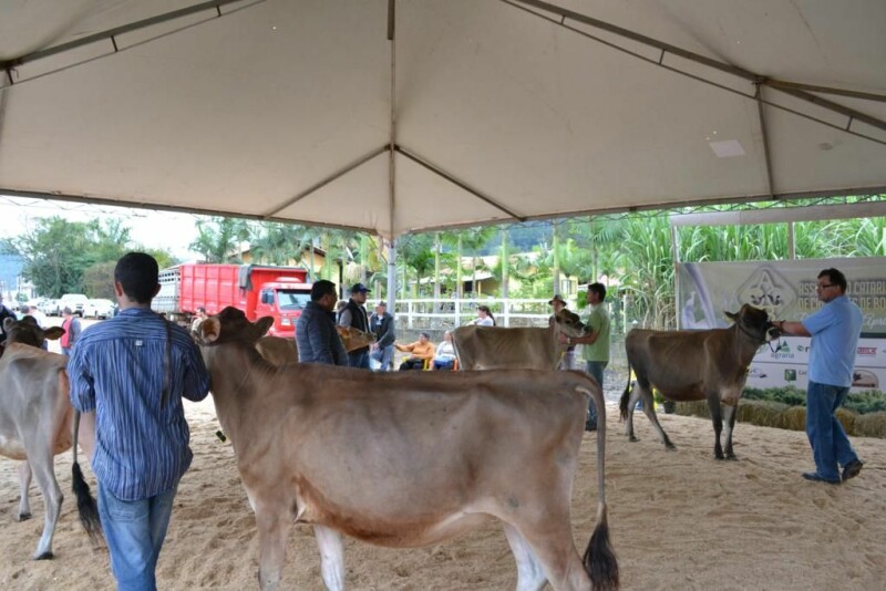 Cravil é parceira da 20ª Expofeira Estadual do Leite-74.jpg