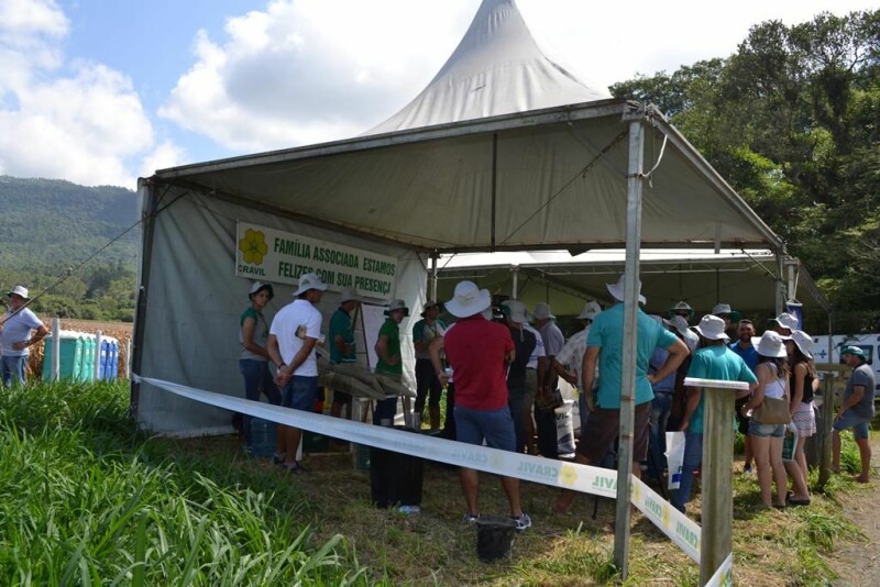 Dia de Campo Cravil reúne cerca de 2.500 pessoas-33.jpg