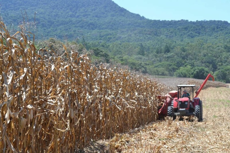 Dia de Campo Cravil reúne cerca de 2.500 pessoas-20.jpg