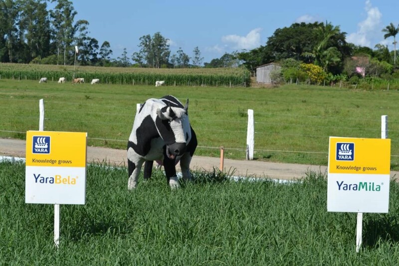 Dia de Campo Cravil reúne cerca de 2.500 pessoas-80.jpg