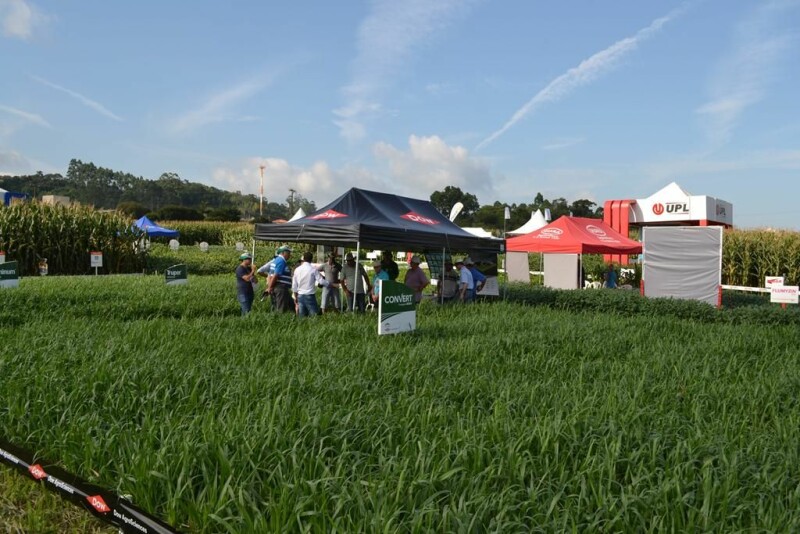 Dia de Campo Cravil reúne cerca de 2.500 pessoas-56.jpg