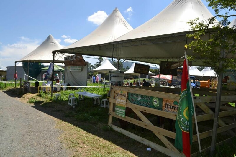 Dia de Campo Cravil reúne cerca de 2.500 pessoas-13.jpg