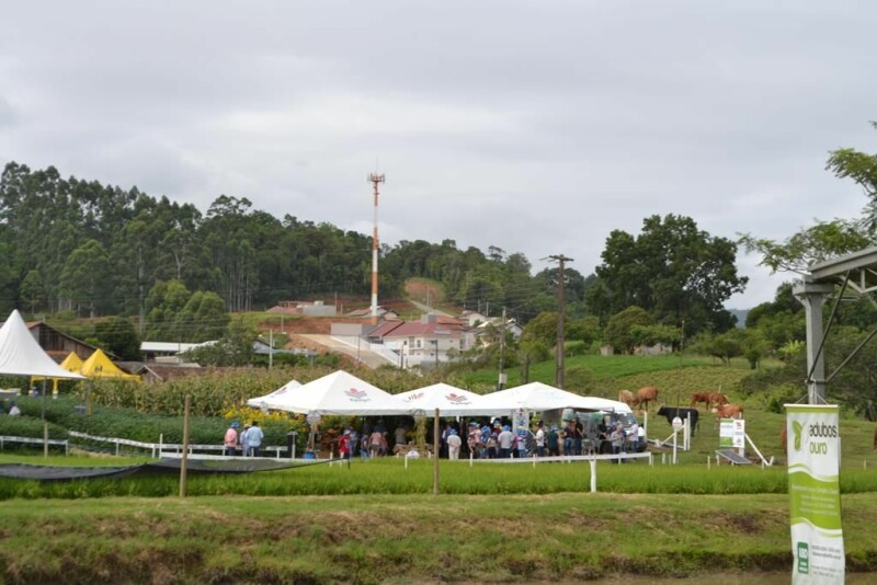 DIA 2 - Dia de Campo Cravil-40.jpg