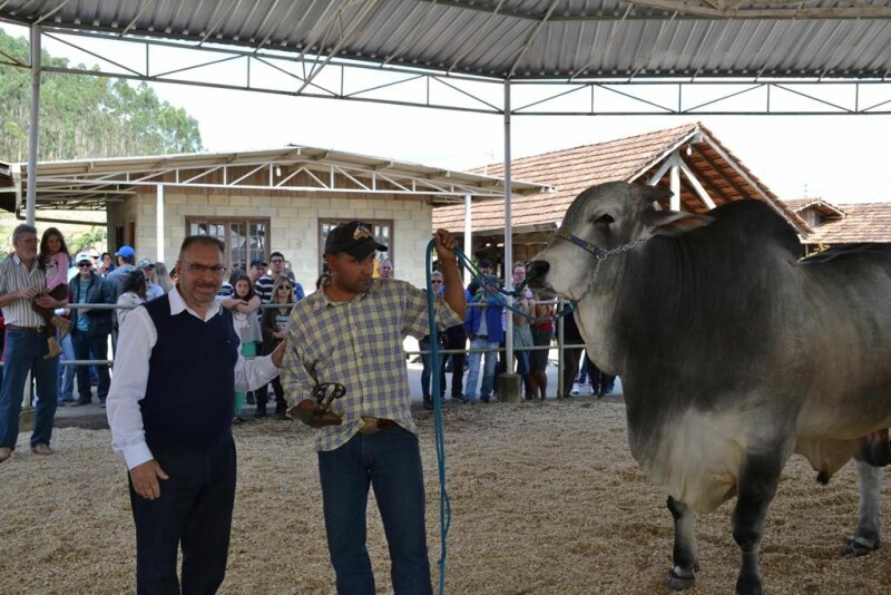 Cravil é parceira da Festa do Colono em Itajaí-28.jpg