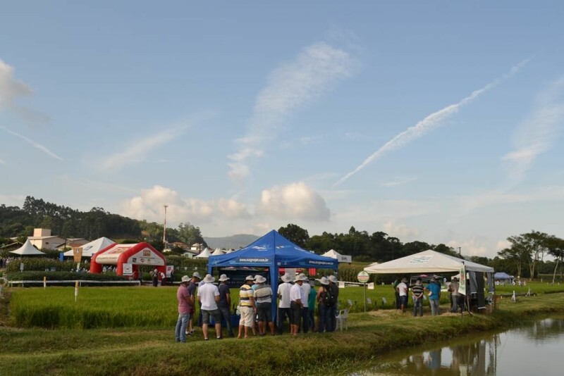 Dia de Campo Cravil reúne cerca de 2.500 pessoas-57.jpg