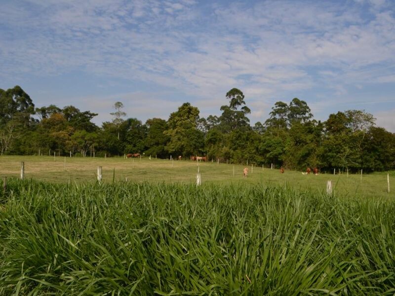 Dia de Campo Cravil acontece de 13 a 15 de fevereiro-16.jpg