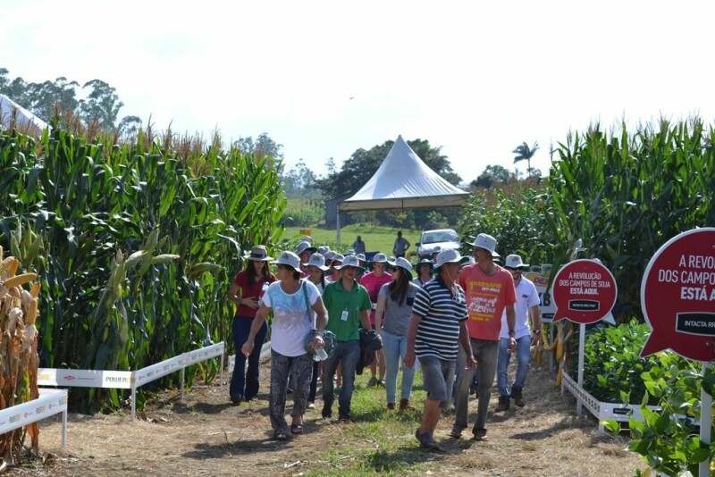 Dia de Campo Cravil reúne cerca de 2.500 pessoas-45.jpg