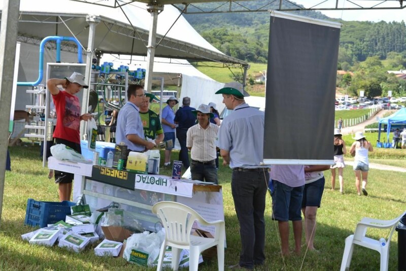 Dia de Campo Cravil reúne cerca de 2.500 pessoas-35.jpg